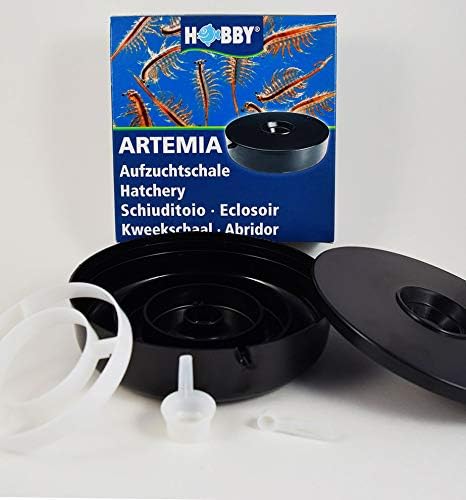 Brine Shrimp Hatchery Dish