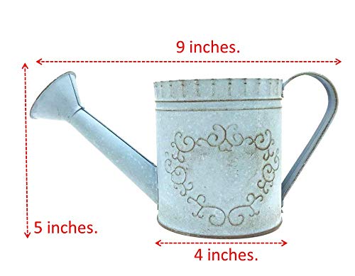 WitnyStore Decor Watering Pot Planter Can Tin Home Garden Sprinkler Vintage for Flower Arrangement Not for Watering Will Leak (Blue)