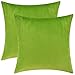 Mixhug Set of 2 Cozy Velvet Square Decorative Throw Pillow Covers for Couch and Bed, Chartreuse, 18 x 18 Inches