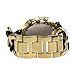Michael Kors Chain Link Acrylic Gold-Tone Ladies Watch MK4222
