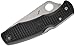 Spyderco Pacific Salt Lightweight Folding Knife - Black FRN Handle with SpyderEdge, Hollow Grind, H-1 Steel Blade and Back Lock - C91SBK
