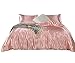 Pink Bedding Set Silk Like Blush Pink Comforter Cover 2 Pieces Luxury Satin Duvet Cover Coral Pink Girls Bedding Sets Twin 1 Duvet Cover 1 Pillowcase (Pink, Twin)