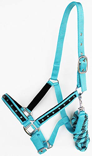 CHALLENGER Horse Nylon Padded Halter Lead Rope Nickel Plated Hardware Turquoise 606166