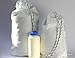 Ursack Major (formerly S29.3 AllWhite) Bear Resistant Food Storage Bag