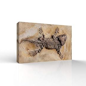 Reptile Fossil Living Room