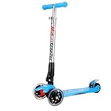 Rimable Foldable Maxi Kick Scooter with LED Light up Wheels