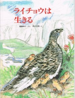 ライチョウは生きる えほん こどもとともに 遠藤 和子 文秀 井口 本 通販 Amazon