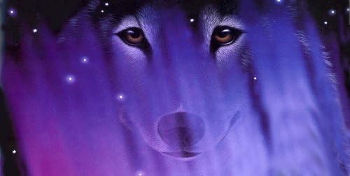 Airbrushed License Plate - Wolf Face License Plate, Personalized Airbrushed Wolf Face License Plate Novelty auto tag Custom Decorative Airbrush Front plate, frame and cover included - #29