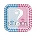 Gender Reveal Deluxe Party Pack Serves 16 Plates Cups Napkins & Tablecloth