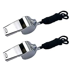 BEADNOVA Stainless Steel Whistles with Lanyard