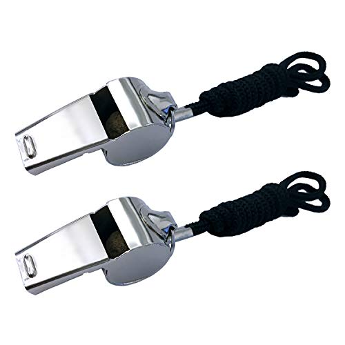 BEADNOVA Stainless Steel Whistles with Lanyard
