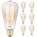 6-Pack Edison Light Bulb, Antique Vintage Style Light, Amber Warm, Dimmable (60w/110v) primary