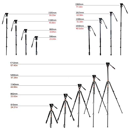 Cayer AF2451 Professional Video Camera Tripod 67 inches with Fluid Drag Head, 4-Section Compact Aluminimum DSLR Tripod Convertible to Monopod for DSLR Camera, Video Camcorder, Plus 1 Extra QR Plate