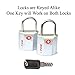 Forge Small Size TSA Approved Luggage Locks: Key Locks for Travel. Ultra Secure Dimple Key Travel Locks Alloy Body Luggage Locks. Silver 2-Pack.