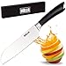 HULLR Professional Chef Knife 8