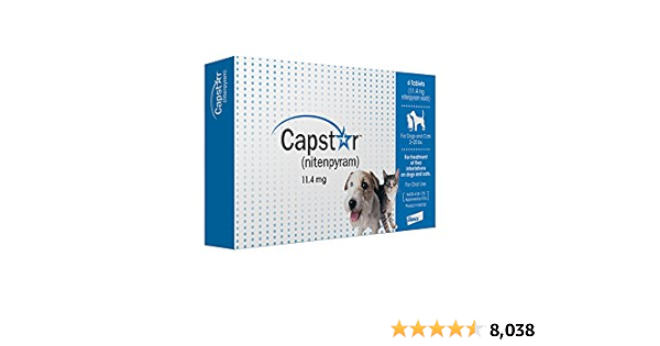 capstar single dose