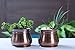 H Potter Succulent Planter Plant Pot with Tray Set of 2 Outdoor and Indoor Use Round Flower Herb Box for Home Patio Garden Deck Balcony Antique Copper Gar607a