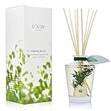 LOVSPA Sparkling Balsam Reed Diffuser Oil Set – Christmas Tree Scent with Pine, Fir Needles, Birch Wood and Amber – Natural Essential Oils and Real Botanicals – Beautiful Holiday Decor – 4.5 Ounces