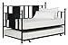 Daybed with Trundle/No Box Spring Required/Premium Sturdy Slats w/Rich Jet Black Finish/Modern Space Saving Design/Day Bed and Roll Out Trundle Accommodate Twin Size Mattress/Ships in 1 Box
