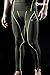 TM-P16-OLCZ_Large j-XL Tesla Men's Compression Leggings Baselayer Cool Dry Sports Tights Pants P16