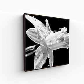 Canvas Wall Art for Living Room, Bedroom Monochrome Image Framed Canvas Prints for Home Decoration Ready to Hang - 16x16 inches