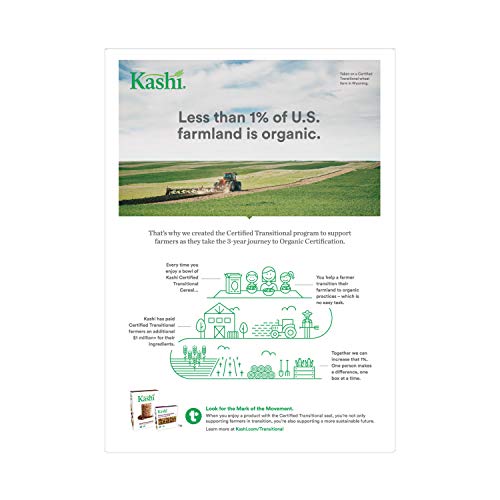 Kashi Heart to Heart Organic Warm Cinnamon Oat Cereal Kosher, 12 Oz