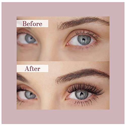 Premade Fans Eyelash Extensions 3D4D5D6D7D8D10D 0.07/0.10mm C/D Curl 10mm16mm Length