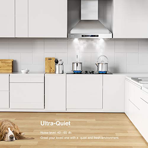 IKTCH 36inch Wall Mount Range Hood 900 CFM Ducted/Ductless Convertible