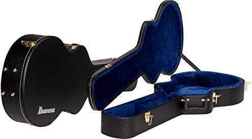 Amazon.com: Ibanez PF50C Dreadnought Hard Shell Case for PF