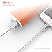 Jackery iPhone Charger [Apple Lightning Cable] Apple Certified MFI Lightning to USB Cable - 3 Feet - Compatible with iPhone 7 Plus 6S Plus 6 Plus SE 5S 5C 5, iPad 2 3 4 Mini Air Pro, iPod (White)