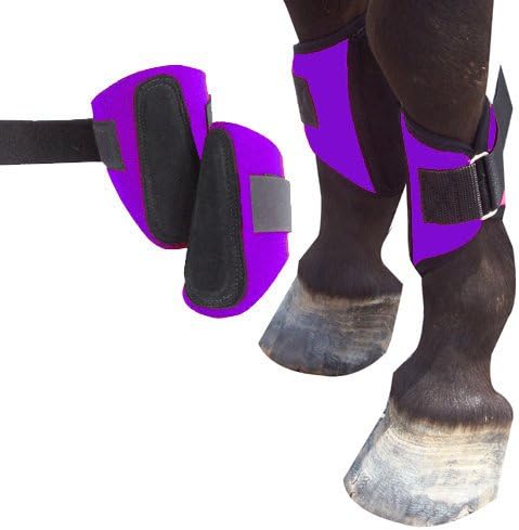 Intripid International Miniature Horse Splint Boots - Purple