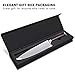 Whew Chef Knife, 8 Inch Japanese High Carbon Stainless Steel Pro Kitchen Knife with Ergonomic Handle, Razor Sharp,Stain and Corrosion Resistant,Best Choice for Home Kitchen and Restaurant