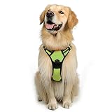 Rabbitgoo  Dog Harness No-Pull Pet Harness Adjustable Outdoor Pet Vest 3M Reflective Oxford Material Vest for Dogs Easy Control for Small Medium Large Dogs (Green, L)