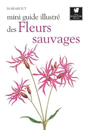 Fleurs sauvages