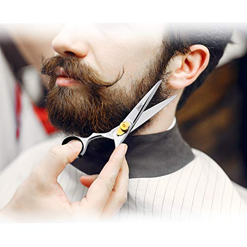 ARRC 6.5" Hair Cutting Scissor & Barber Shears Razor Edge Hair Cutting Shears for Smooth