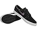 NIKE Men's Zoom Stefan Janoski Skate Shoe