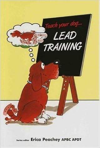 lead your dog
