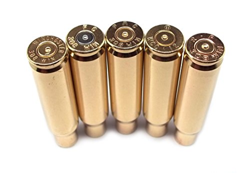 308 Winchester-100 Count