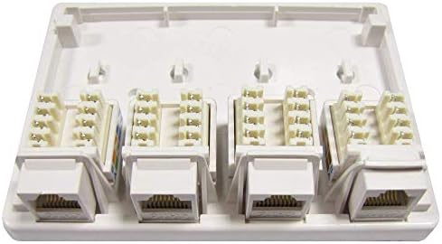 BeMatik - Caja de superficie de 4 RJ45 Cat.6 UTP: Amazon.es: Informática