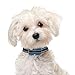 Our K9 Training Made Easy - Vibrating Dog Collar Using Sound & Vibration or Ultrasonic & Vibration. 100% Pain-Free - 100% Safe