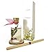LOVSPA Reed Diffuser Set, Joy Winterberry Spruce Scented Oil Diffuser with Sticks, Home Fragrance Accessories for Bathroom Shelf Decor, Aroma Diffusers for Home or Office Desk, USA Made