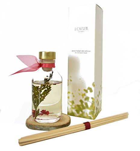 LOVSPA Joy Winterberry Spruce Luxury Reed Diffuser Oil Set | Wood Coaster Included | Cedar, Balsam, Berries and Spice Scented Oil | Rustic Winter Home Decor ~ Liquid Potpourri