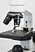 Ultimate Science Microscope Kit - My First Lab MFL-05 Cordless Compound Microscope for Students w/ 4X, 10x & 40X Eyepieces – Illuminated 40-400x Magnification Microscope – includes 5 Prepared Slides