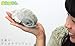Sea Creature Giant Isopod Cute Kawaii Stuffed Plush Doll (M Size) / 13 cm by TSTADVANCE