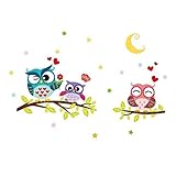 Colorido Removable Cartoon Owl Animal Wall Sticker Art DIY Decals Kids Room Decor