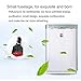 Cisasily USB Car Charger, Dual USB & Type C Port Run Ostrich Anion Air Purifier 5V/3.1A 3 in 1 Universal Quick Charge USB for iPhone iPhone Plus, iPad Pro, Note, LG, Nexus, HTC, and More. (Black)