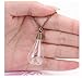 bestwishes2u Dried Dandelion Seed Glass Locket Pendant Necklace with 26