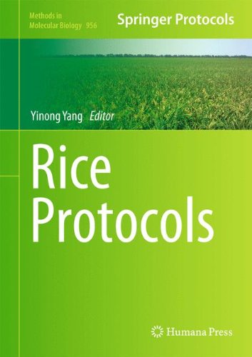 Rice Protocols (Methods in Molecular Biology, 956)