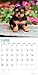 2020 Yorkshire Terriers Calendar 16 Month 12 x 12 Wall Calendar by Bright Day Calendars (Terriers Collection) (Yorkshire Terriers 2019)