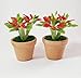 The Best Buy 2 of Dollhouse Miniature Christmas /Poinsettia Tree in Terracotta Pot 1:12 Scale